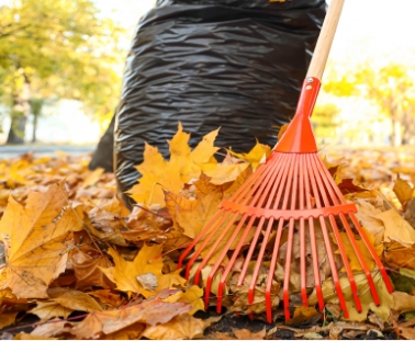 Leaf raking